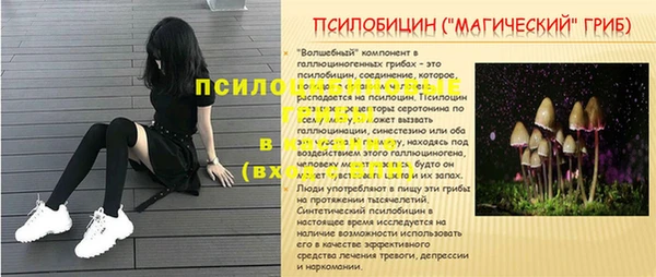 Альфа ПВП Майский