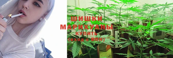Альфа ПВП Майский