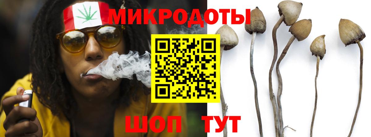 Волгоград  Псилоцибиновые грибы GOLDEN TEACHER  Вход с VPN 